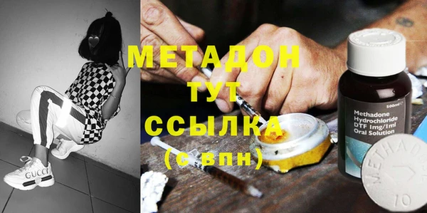 сатива Бородино