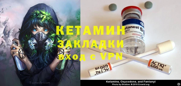 шишки Слюдянка
